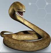 Titanoboa3