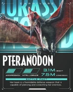 1eec48bd2b54454ee152ffc76e92d5f7.jpg (337 КБ)