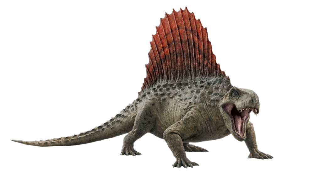 Dimorphodon, Jurassic Park Wiki