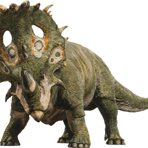 Sinoceratops Jurassic Park Wiki Fandom