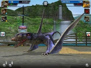 Level 15 Dimorphodon
