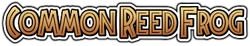 Reedfrogname