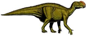 Altirhinus.jpg