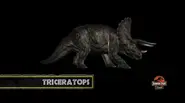 Le modèle du Triceratops de Jurassic Park : The Game