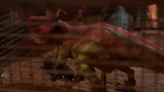 Vlcsnap-2024-07-29-10h48m36s953.png (2,05 МБ)