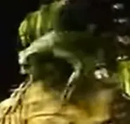 Anurognathus (début)