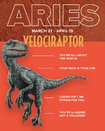 ExAyfwCVcAEmSlP.jpg (320 КБ) Знак зодиака: Овен