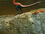 Compsognathus