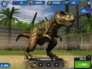 Level 11-20 Tyrannosaurus