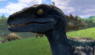 Velociraptor (Season 1, 2, 3, 4 and 5)