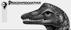 Procompsognathus Jurassic Park Wiki Fandom