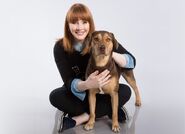Bryce Dallas Howard poses with an adoptable dog