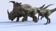 Sinoceratops and Allosaurus models