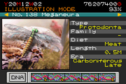 138 - meganeura.png