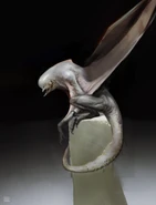 Antoine-verney-carron-mut15.jpg (152 КБ)