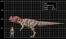 Ceratosaurus comparacion.jpg (56 kB)