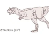 Carnotaurus/Novel