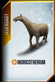 Indricotherium card