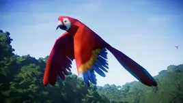 JWE macaw