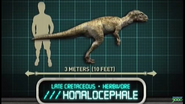 Homalocephale in Jurassic Park: Explorer
