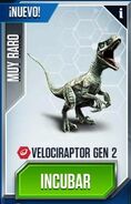 The 2nd generation raptor card