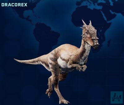 Dracorex JWE