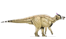 JPI Saurolophus