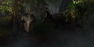 A pair of Pachyrhinosaurus in Senegal