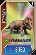 Pachyrhinosaur card