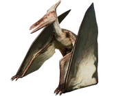 PteraAlpine.png (709 kB)