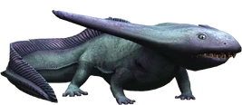 Diploceraspis Evo 1