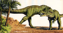 Sinraptor