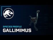 Species Profile - Gallimimus
