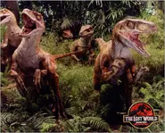 The-Lost-World-Raptors.webp (210 kio)