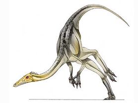 Dc card sanchusaurus big.jpg