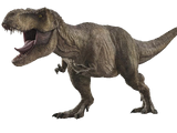 Rexy