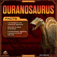 192693950 509250497189614 9065400292441578508 n.jpg (322 KB)