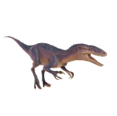 Австраловенатор