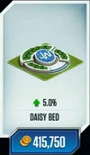 Daisy-bed.jpg