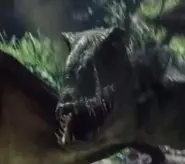 Dimorphodon (début)