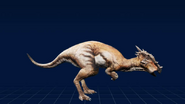 DracorexWebsite