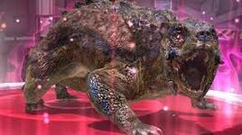 Scutophicyon