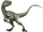 Velociraptor