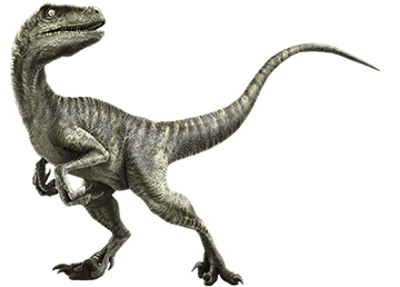 Jurassic world velociraptor charlie outlet