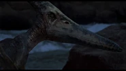 JP3Pteranodon.jpg (694 KB)
