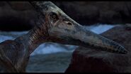 JP3Pteranodon