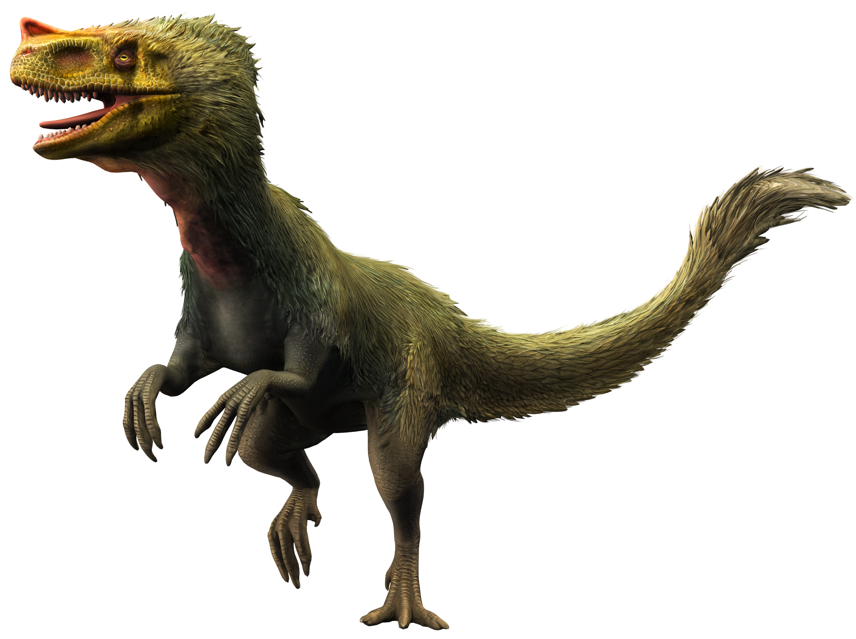 Dimorphodon, Jurassic Park Wiki