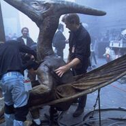 Jp3 behind2.jpg (69 kB)