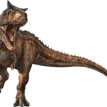 Carnotaurus Jurassic Park Wiki Fandom