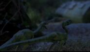 Compsognathus